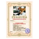 Грамота Гениальный бухгалтер 21х30см картон 27.017.11