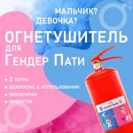Огнетушитель для гендер пати Синий 2л краска холи 464938