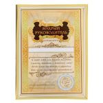 Диплом Мудрый руководитель 15х20см в рамке 1126589