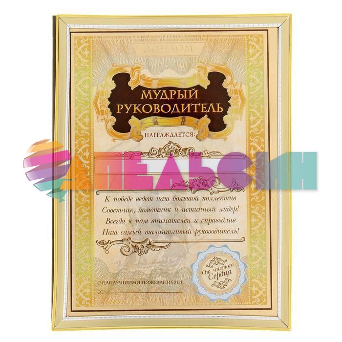 Диплом Мудрый руководитель 15х20см в рамке 1126589