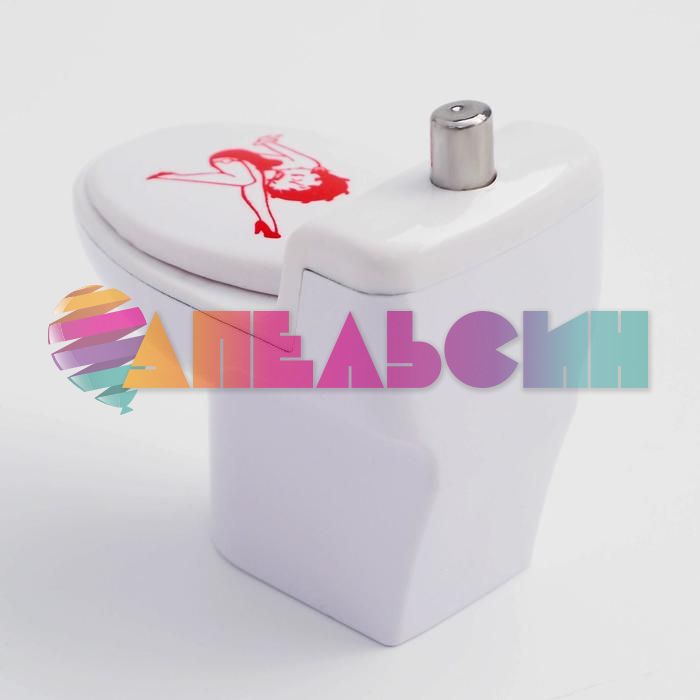 Зажигалка Унитаз /газ 644992