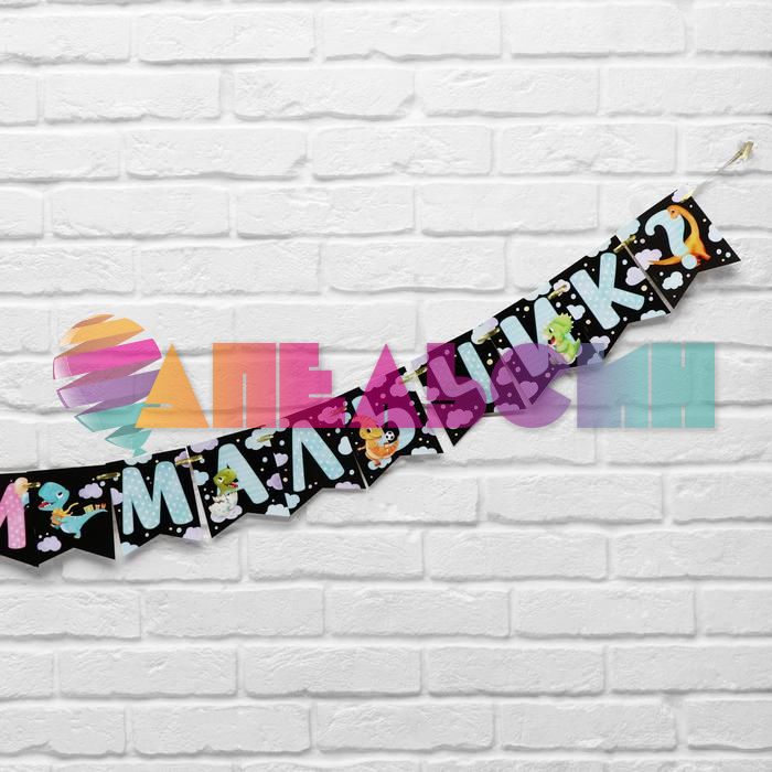 Гирлянда Девочка или Мальчик? 240см картон 6935568