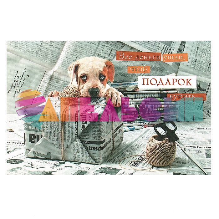 Открытка Все деньги ушли... 13х18см 0688.011