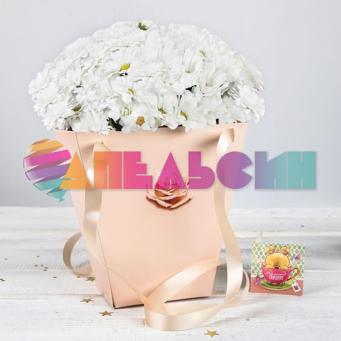 Пакет для цветов Роза чайная 23х23х10см 3090149