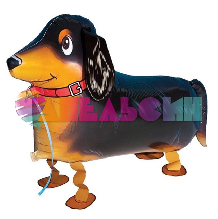 Шар ХОД Собака Такса дружелюбная :) FL24"/61см (Китай) гелий R2263