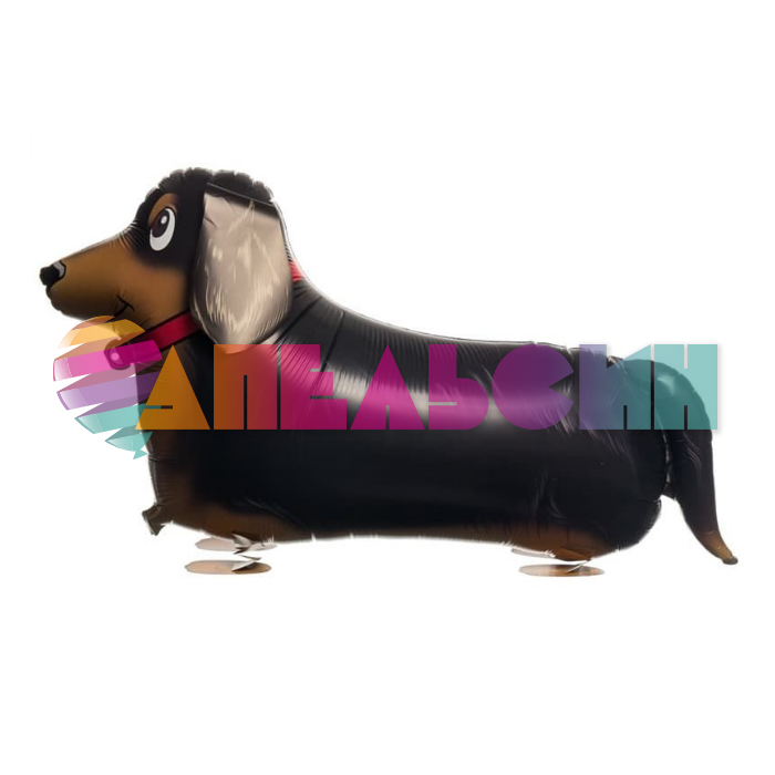 Шар ХОД Собака Такса дружелюбная :) FL24"/61см (Китай) гелий R2263