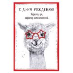 Открытка С ДР Харизматичная лама 12х18см 0480.251