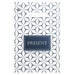 Пакет Стильный Present 20х30см полиэтилен 608337