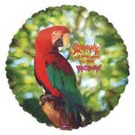 Шар фольга Squawk all you want it`s your birthday A18"/48см круг (США) 042994