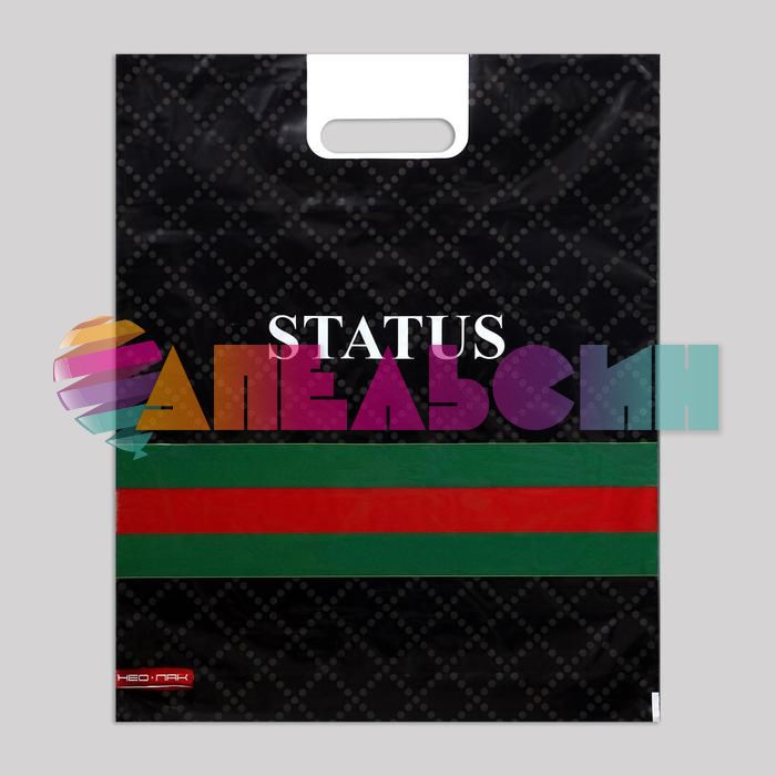 Пакет STATUS клетка 37х46см пвд 35мк 6772502