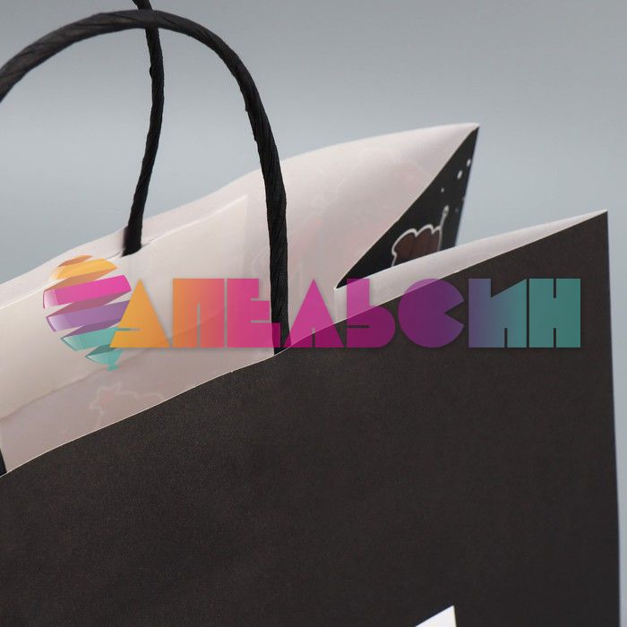 Пакет Какой год такой и подарок 28х32х15см крафт 9524137