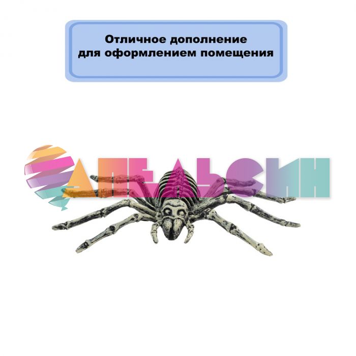 Скелет паука 14х25см 14+ 1501-6874