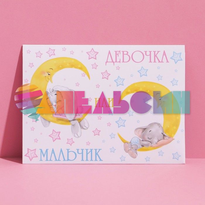 Конверт Девочка или Мальчик 11х15см 7507117