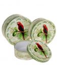 Коробка Попугай круг 3322819-1