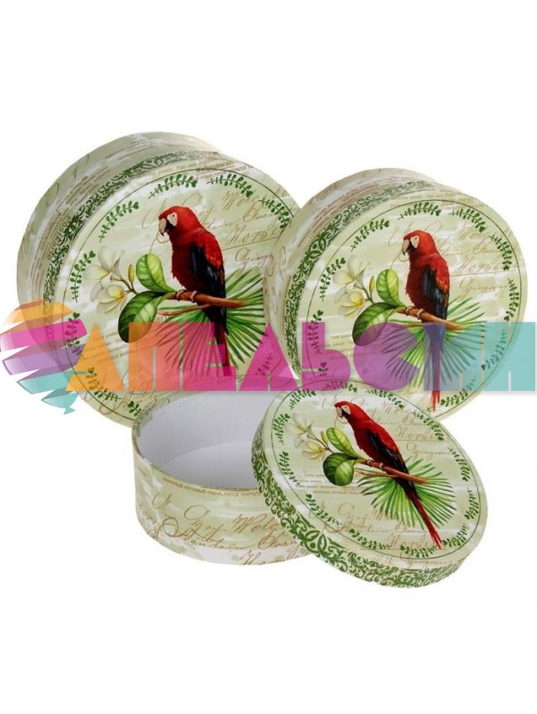 Коробка Попугай круг 3322819-2