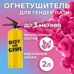 Огнетушитель для гендер пати Малиновый 2л краска холи 720-74