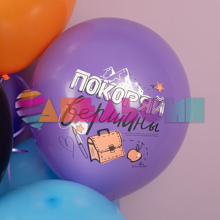 Шар латекс Покоряй вершины Умница 12"/30см 25шт/уп (Малайзия) 711648