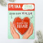 Грелка Ведите себя теплее 10х12см 4273744