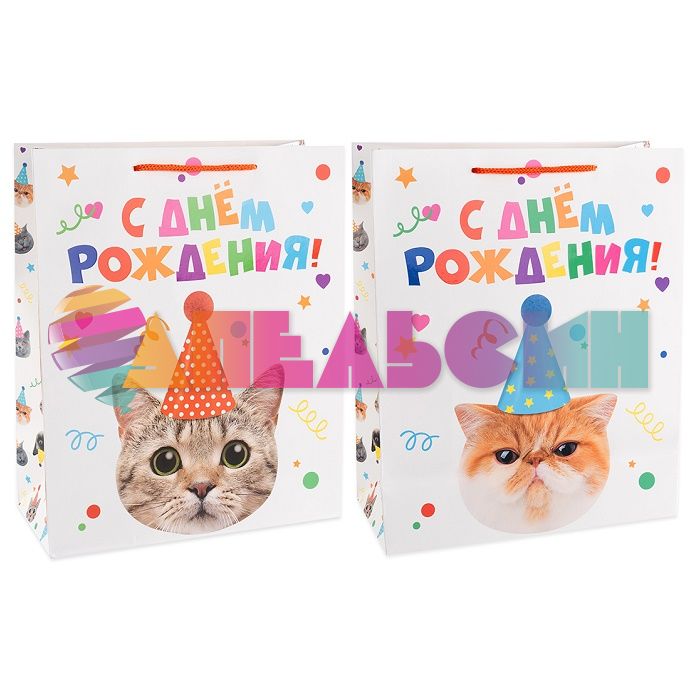 Пакет С ДР Котенок в колпачке 23х18х10см глянец 504424