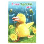 Открытка В этот чудесный день...12х18см 008.209