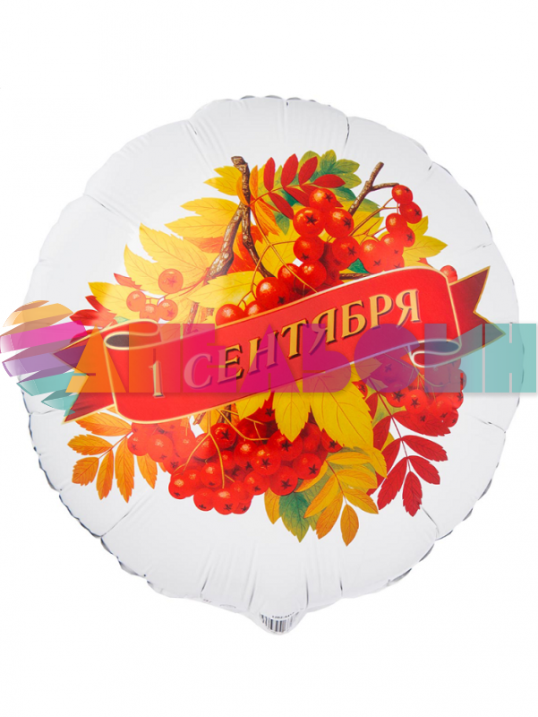 Шар фольга 1 сентября Рябина Е18"/46см (Китай) 1202-4417