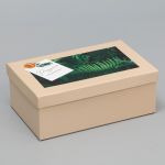 Коробка Эко стиль 20х12,5х7,5см 9490404-11