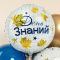 Шар фольга День знаний FL18"/48см круг (Китай) 26224