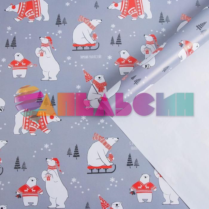 Бумага С НГ Белые медведи 70х100см глянец 5155294-1