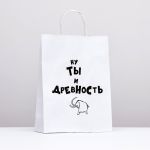 Пакет Ну ты и древность 24х32х10см крафт 4836673