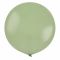 Шар пастель Зеленый Т24"/60см Winter green (Турция) 8248007-1