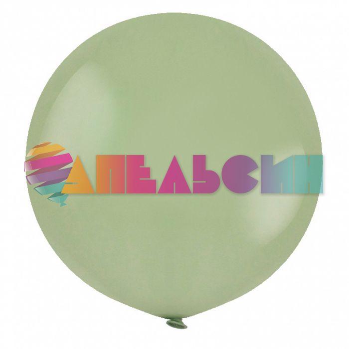 Шар пастель Зеленый Т24"/60см Winter green (Турция) 8248007-1