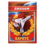 Диплом Карате 11х16см папка 2114383