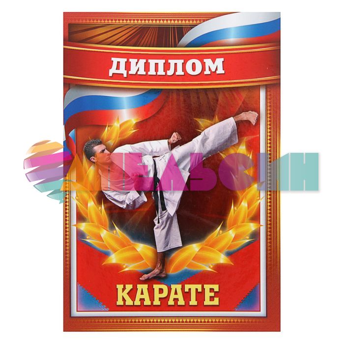 Диплом Карате 11х16см папка 2114383