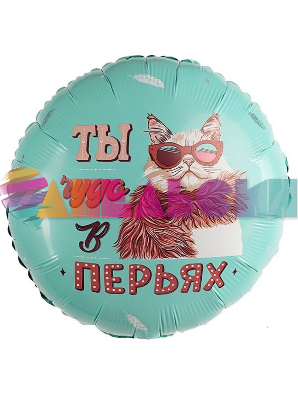 Шар фольга Ты чудо в перьях AG19"/49см круг (Россия) 800872