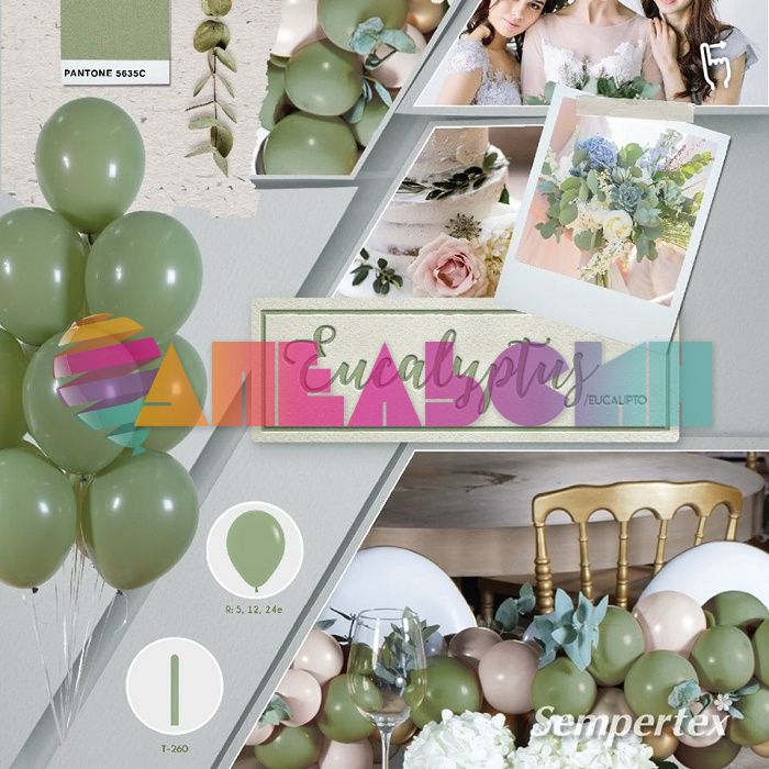 Шар пастель Зеленый S24"/60см (027) Eucalyptus Эвкалипт (Колумбия) 124027-1