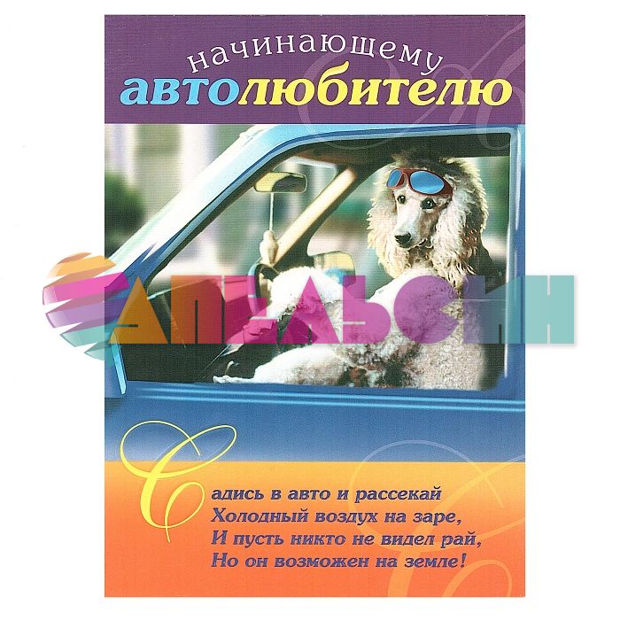 Открытка Начинающему автолюбителю 12х18см 050.031