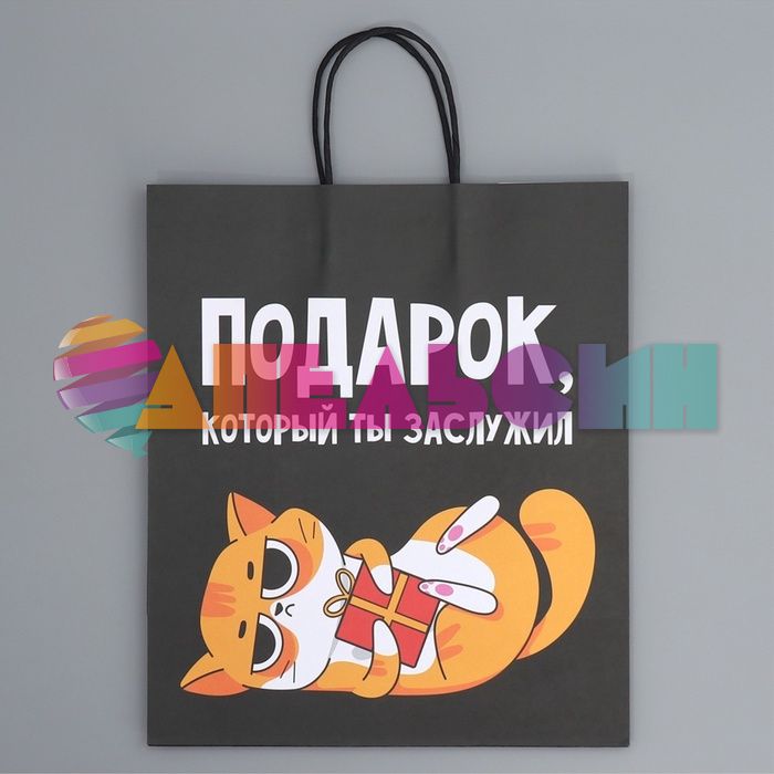 Пакет Подарок который ты заслужил 28х32х15см крафт 9304740