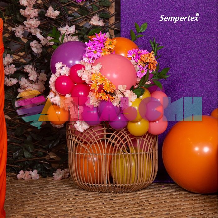 Шар пастель Оранжевый S36"/91см (061) Orange 2шт/уп (Колумбия) 109107