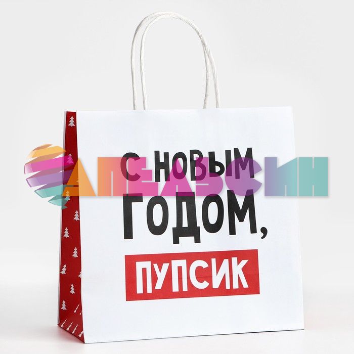 Пакет С НГ ПУПСИК 22х22х11см крафт 10338154