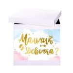 Наклейка Мальчик или Девочка 30х42см на коробку 6961045