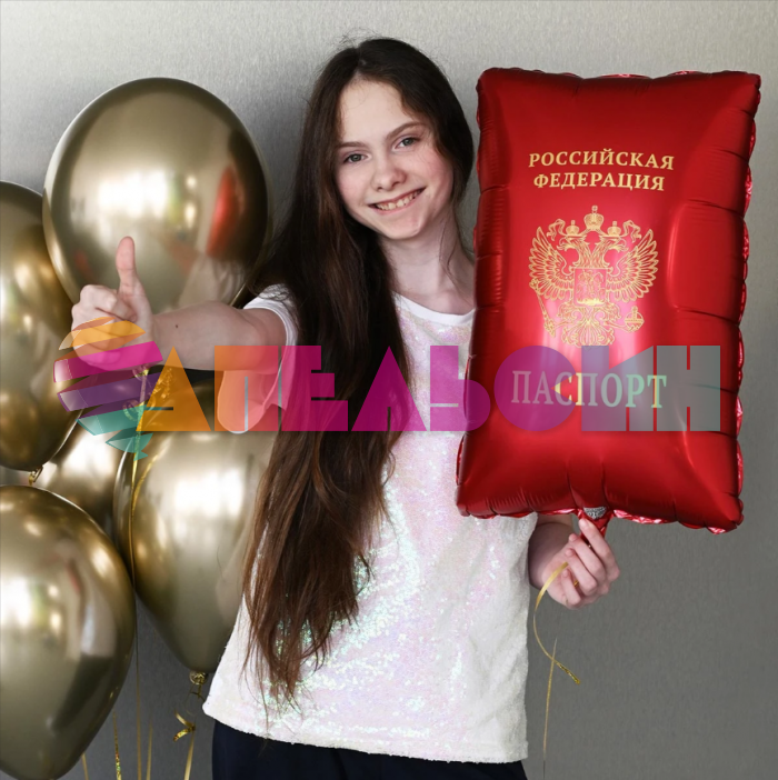 Шар фигура Паспорт Е21"/53см (Китай) 1207-6109