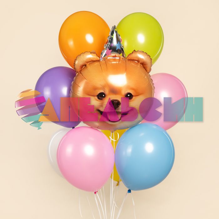 Шар голова Шпиц в колпачке FL28"/71см (Китай) 26959