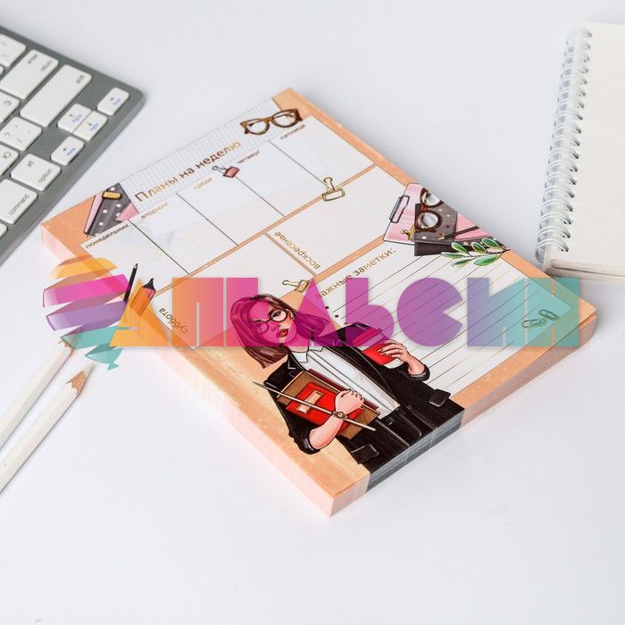 Планинг Учитель 160л 4864444