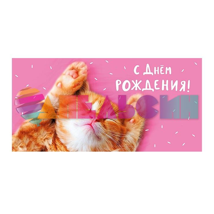 Конверт для денег В ДР Кот в режиме кайф 0316.612