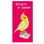 Конверт для денег Балдеть от жизни Попугай в кедах 0316.611