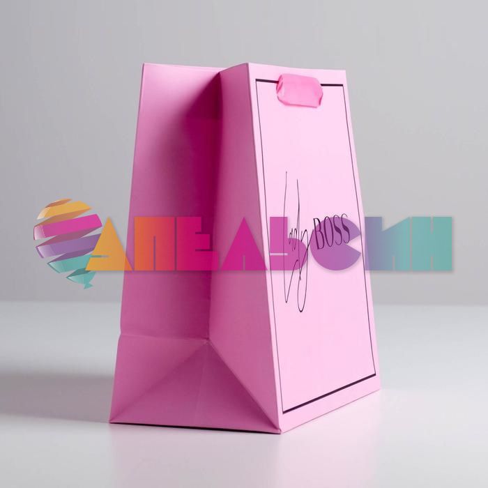 Пакет Ledy Boss 22х22х11см 5226246