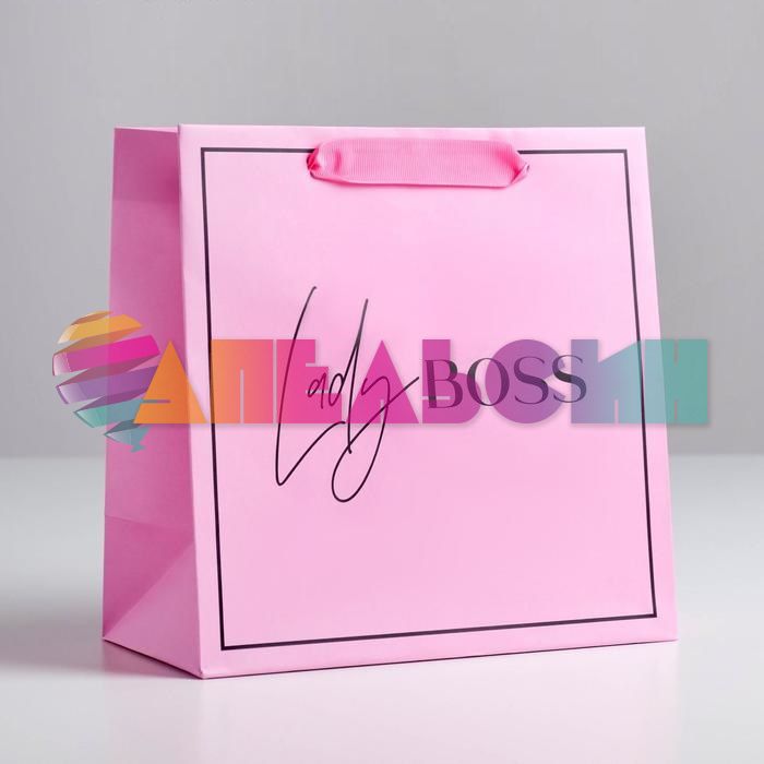 Пакет Ledy Boss 22х22х11см 5226246