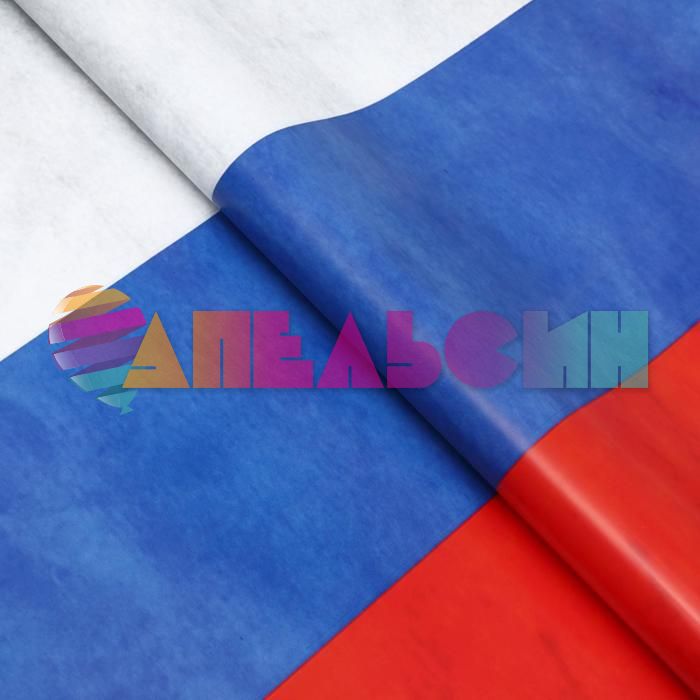 Бумага Триколор Россия | Триколор Россия 50х70см 5л/уп глянец 2ст 7018505-5