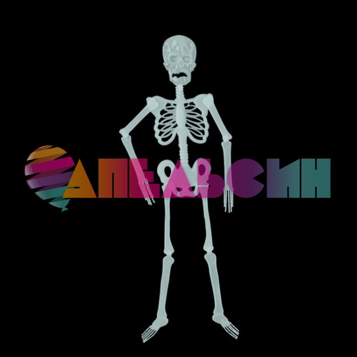 Скелет светящийся в темноте 90см 1501-5179