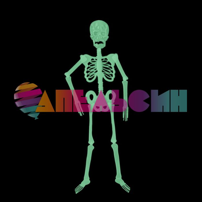 Скелет светящийся в темноте 90см 1501-5179